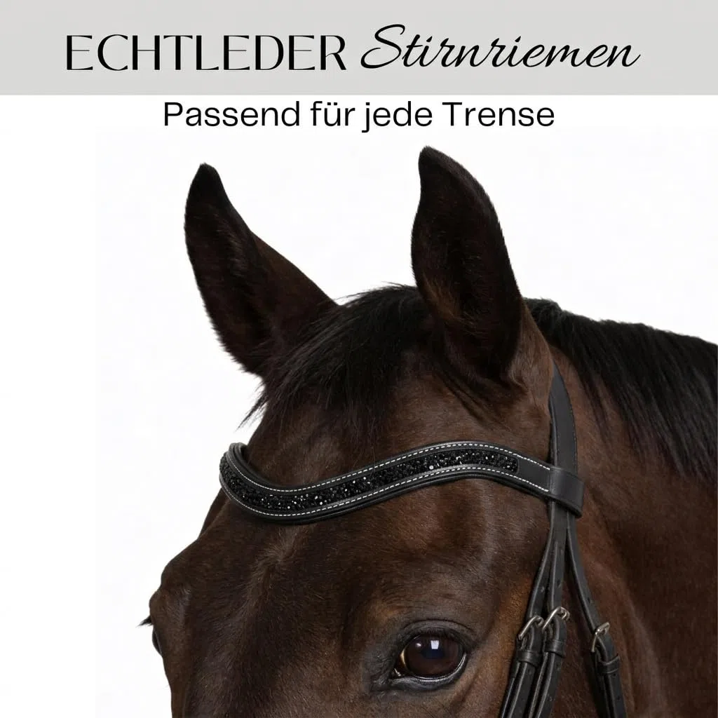 Pferdelinis Bandeau incurvé avec cristaux étincelants aspect argent – assure une apparence élégante et glamour pendant l'entraînement et le tournoi (noir et noir, poney)