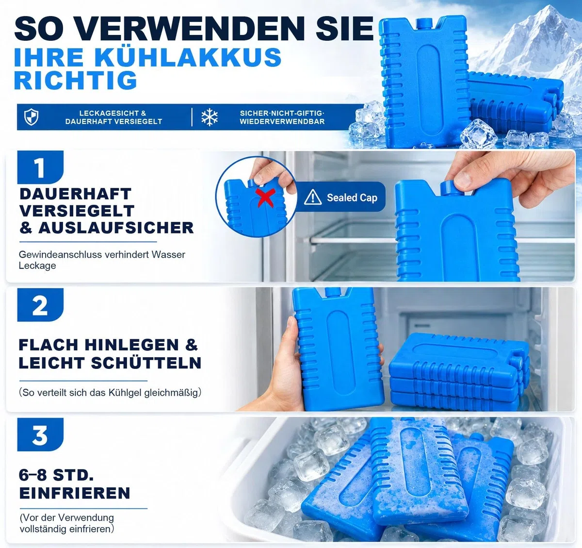 Homewit Big Packs de Glace - Éléments de Refroidissement pour glacière et Sac Isotherme - Accumulateurs de Froid pour la Maison et Les Loisirs