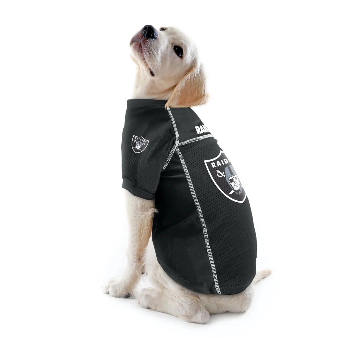 Littlearth Maillot Basique NFL pour Animal de Compagnie