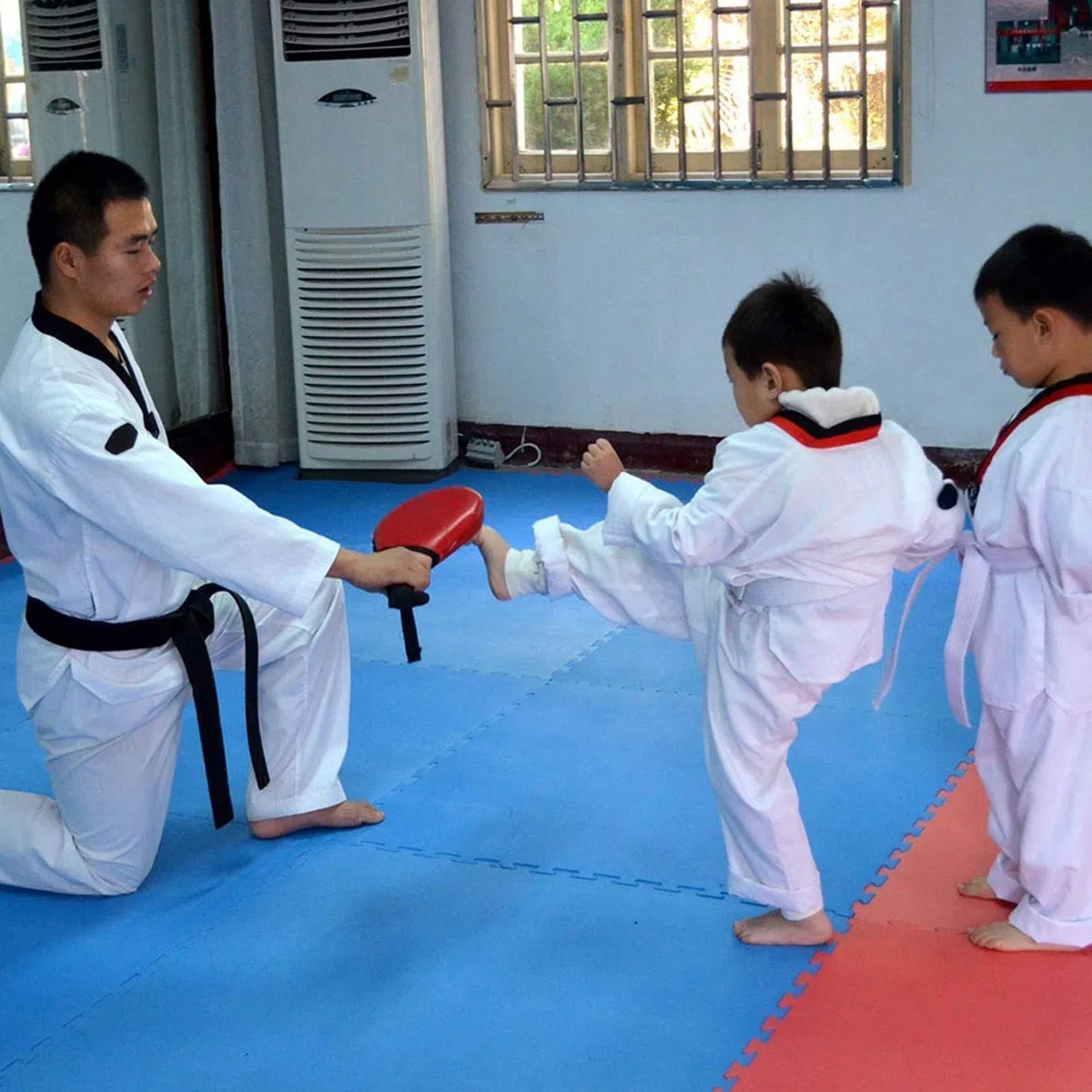 2pcs Formation de Pad de Taekwondo Durable (Noir), Applicable à la Pratique au bâton de Taekwondo, Art Martial, etc.