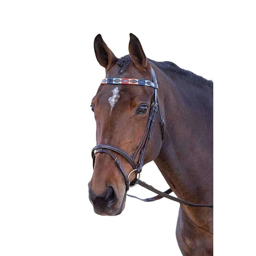 Shires Blenheim Frontal de polo en cuir Turquoise/rouge/orange/bleu