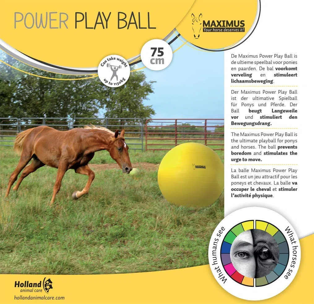 Hofman Maximus Power Play Ball Jouet pour cheval Jaune 75 cm