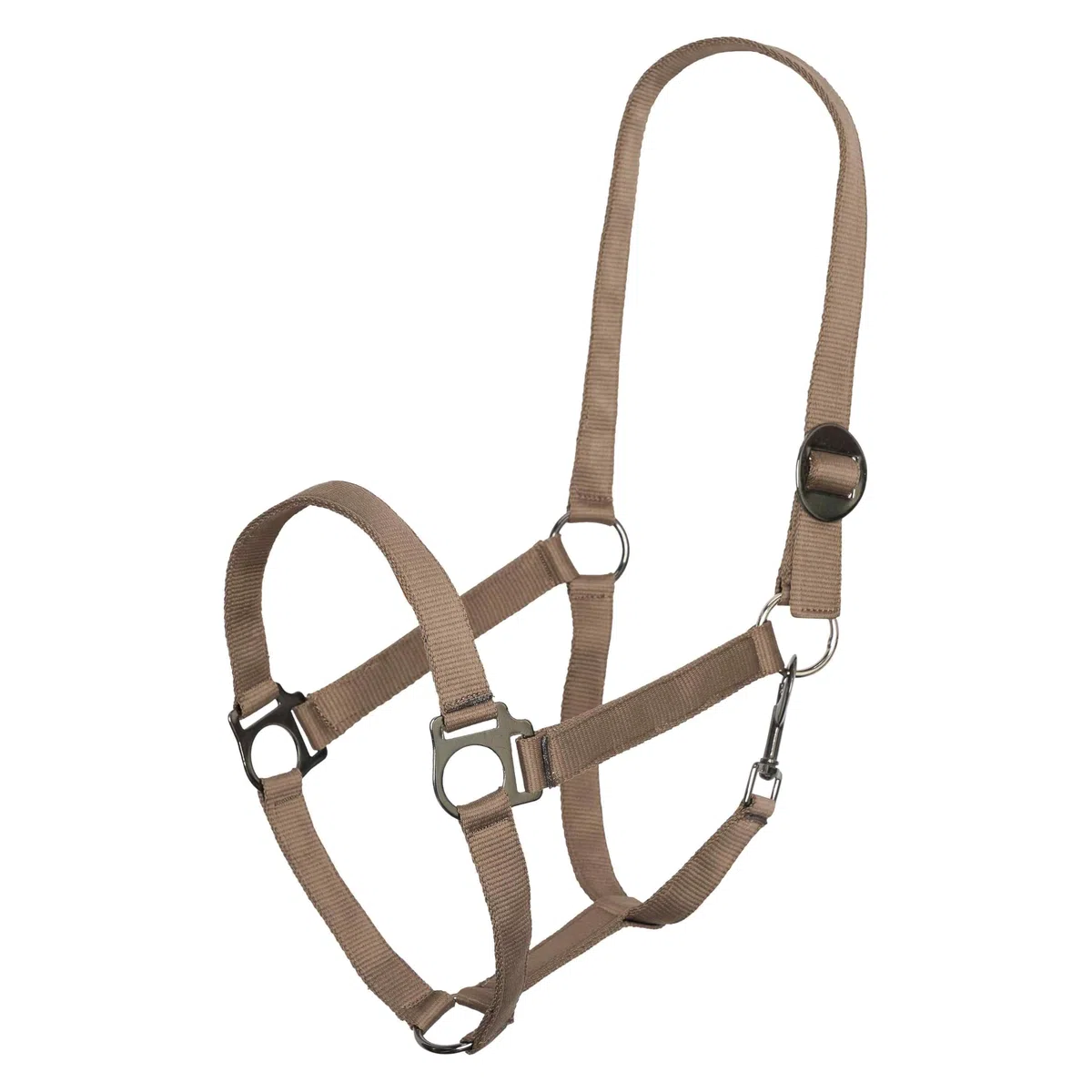 Imperial Riding Licol économique en Nylon Robuste de 25 mm - Boucle coulissante réglable - Sangle Mousqueton - Durable et Facile d'entretien - pour l'entraînement, l'écurie et la Vie Quotidienne