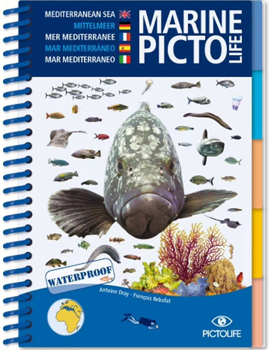 MEDITERRANEAN MARINE PICTOLIFE: Méditerranée