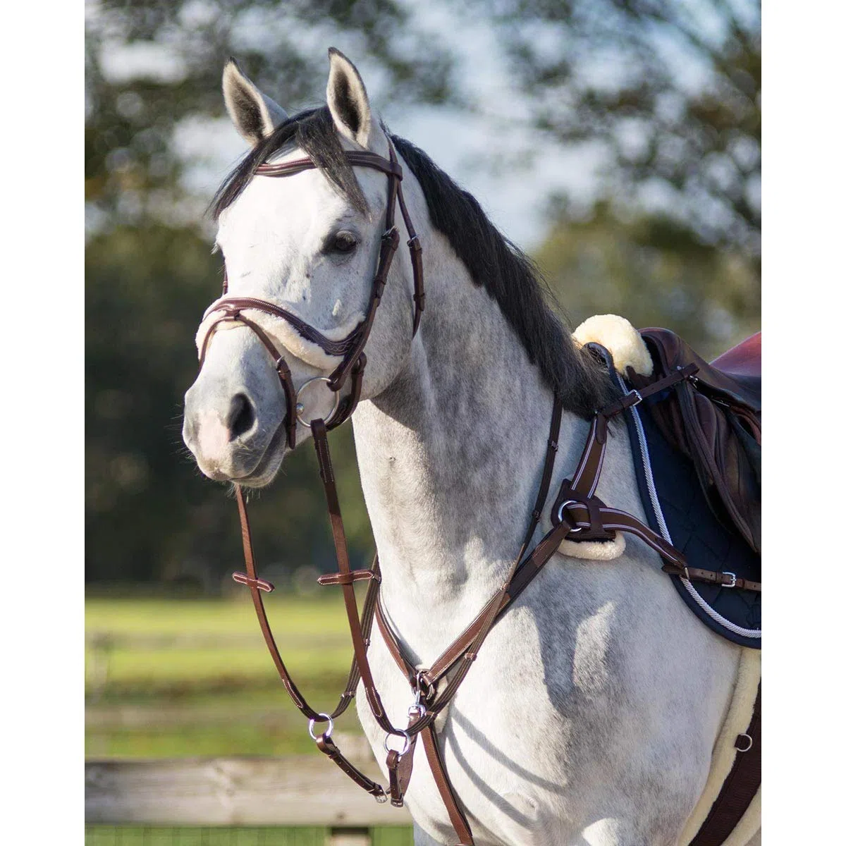 QHP Collier de Chasse Ontario - Marron - Cheval