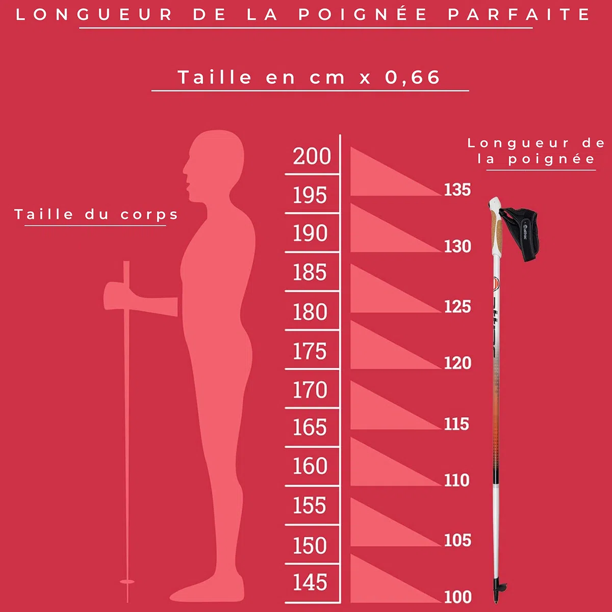 ATTRAC Bâtons de marche nordique en aluminium avec entraînement et sangles de poignet I Bâtons de marche avec système Click & Go I Gratuit – Application de marche nordique / fitness