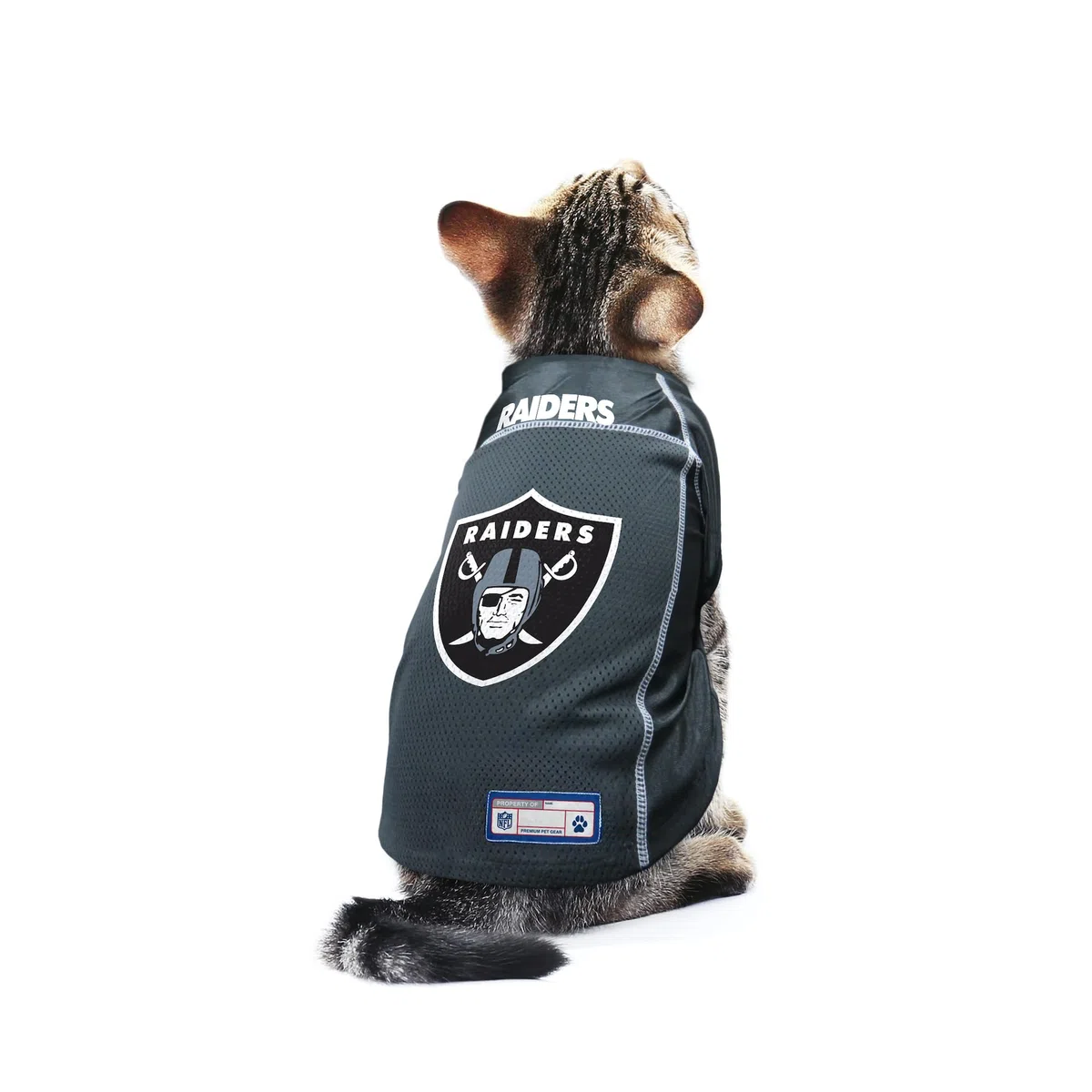 Littlearth Maillot Basique NFL pour Animal de Compagnie