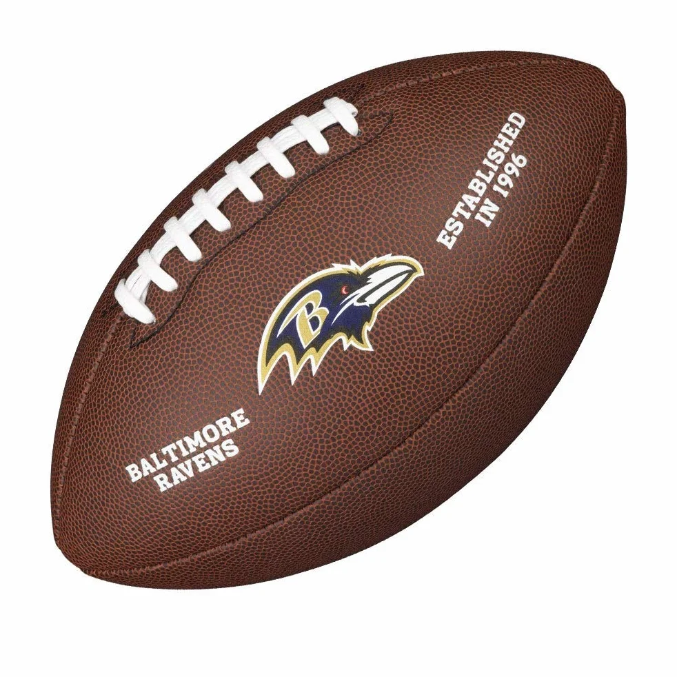 Wilson NFL Team Alliance Footballs