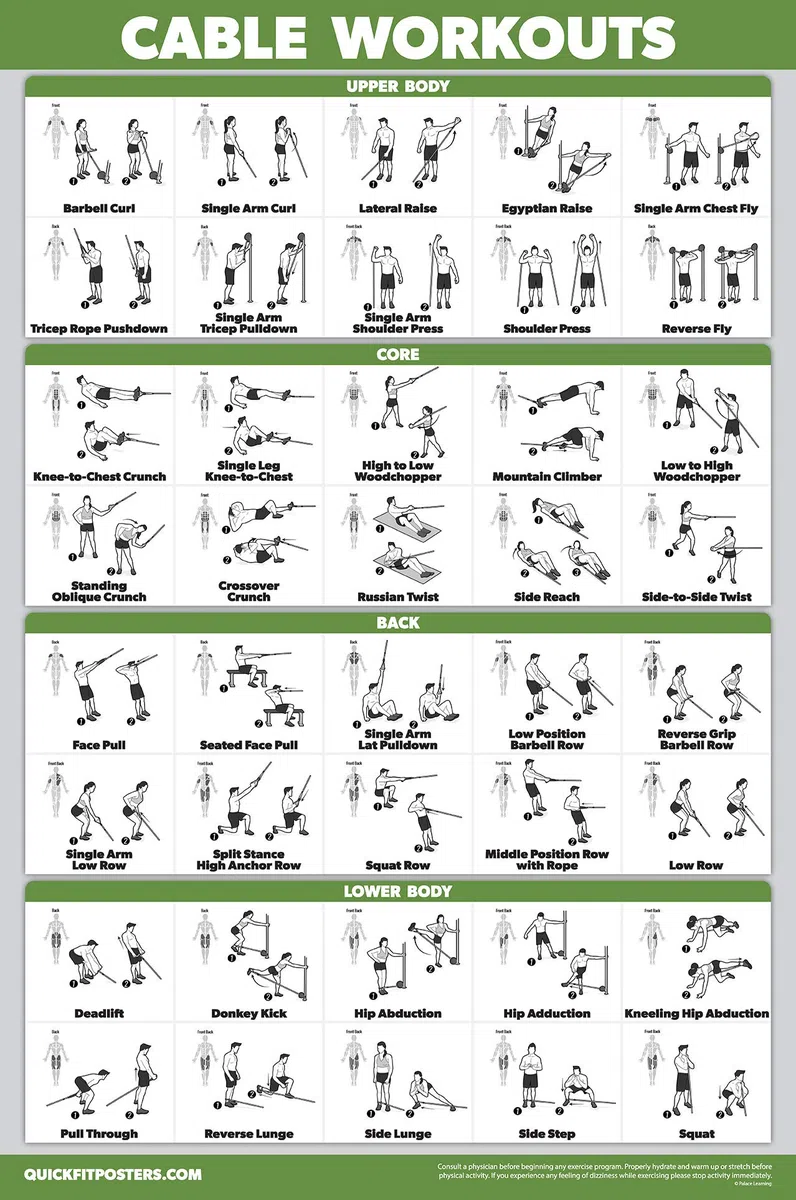 Palace Learning Lot de 4 tableaux d'entraînement avec haltères + exercices de poids corporel + exercices d'étirement + entraînement à la machine à câble – Lot de 4 tableaux d'entraînement (laminé,