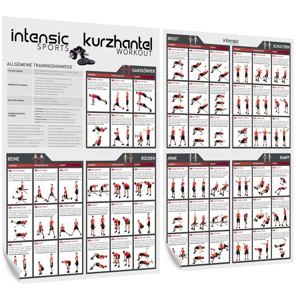 intensic SPORTS Poster d'entraînement avec haltère - 60 exercices de fitness pour l'entraînement aux haltères - Développement musculaire et sport - Motivation pour l'entraînement à la maison - Salle