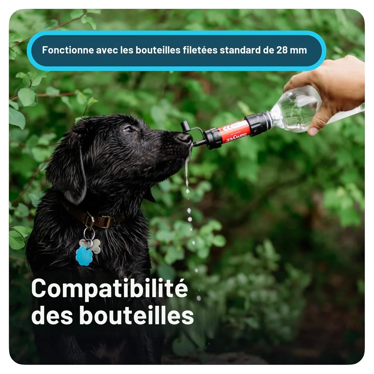 Sawyer Products SP340 Mini système de filtration d'eau, filtre et piston de nettoyage uniquement, simple, bleu sarcelle