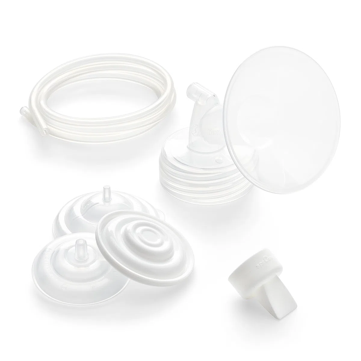 SpeCtra Jeu de brides originales (20 mm)