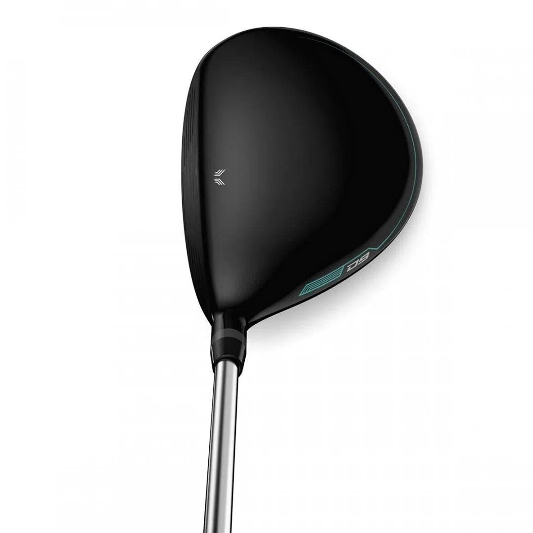 Wilson Staff Club de Golf, D9 Bois de Parcours