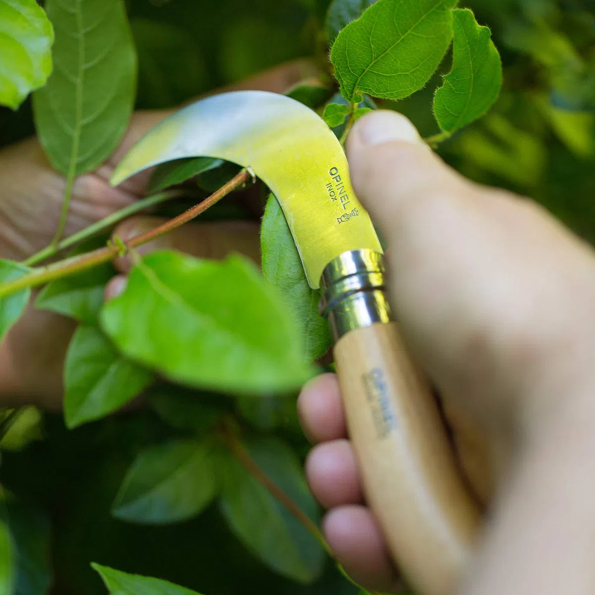 Opinel Horticultural Knife-Brown 8 cm