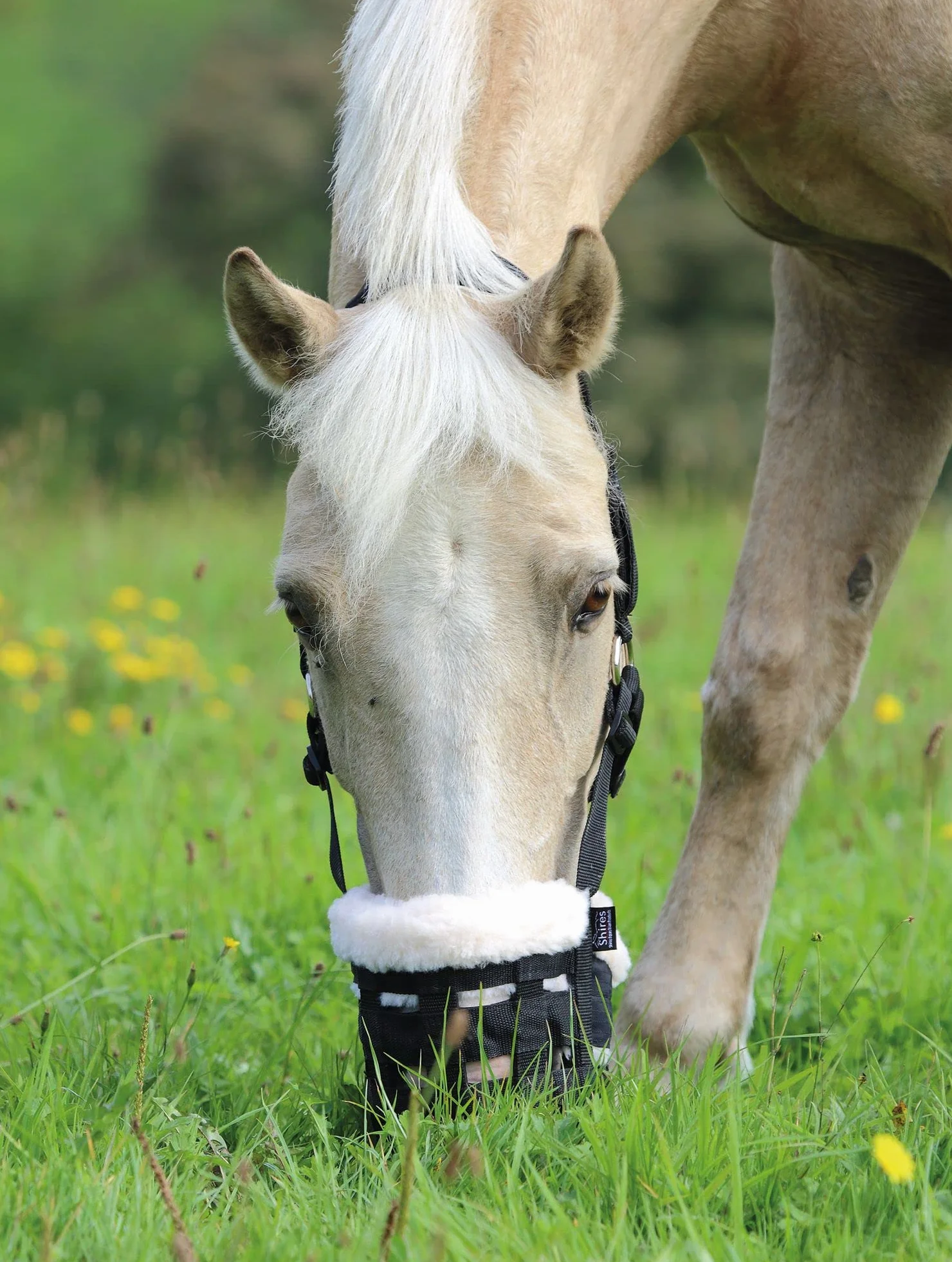 Shires Deluxe Comfort Muselière de pâturage