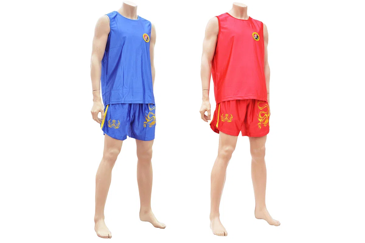 ShenLong - Tenue Boxe Chinoise Sanda «Dragon», Club - Bleu, S