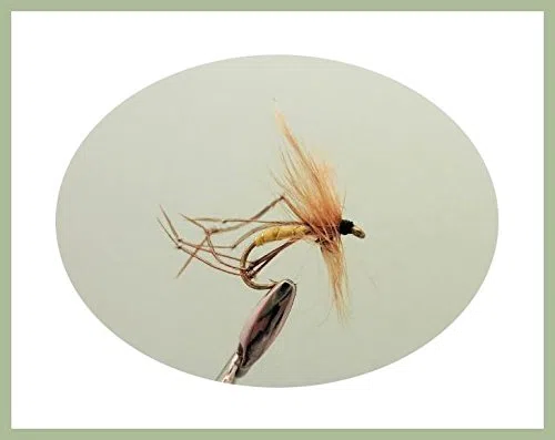 Lot de 50 mouches pour pêche à la truite, mouches sèches, buzzers, nymphes, émergers, etc