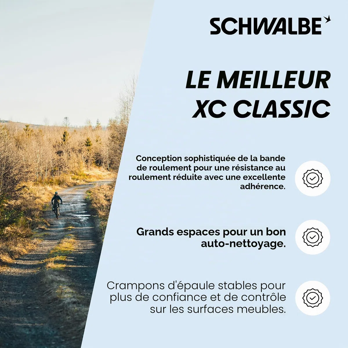 Schwalbe Rocket Ron Perf. Addix // toutes les tailles