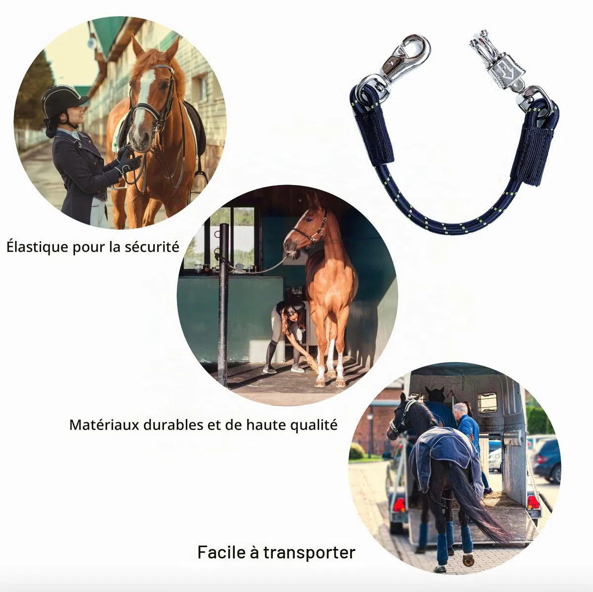 Transport - Attache élastique - En caoutchouc - Chaîne de fixation avec crochet de panique et fermoir taureau - Pour l'équitation, la remorque de chevaux, la boîte et l'écurie (1, noir, 60