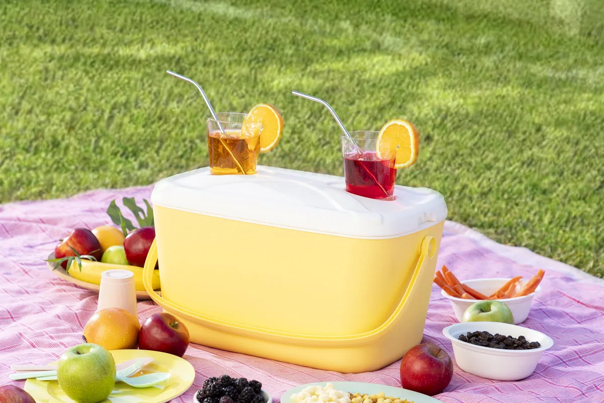 Glacière Rigide Portable Lilty InnovaGoods 15 L, Citronier, Turquoise