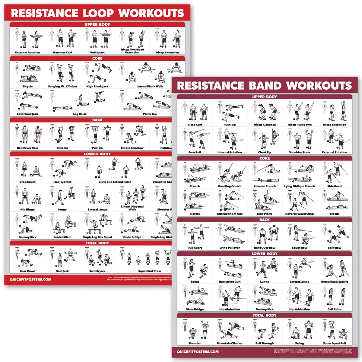 QUICKFIT Lot de 2 affiches d'entraînement avec bandes de résistance et boucles de résistance – Lot de 2 tableaux laminés – Tubes et boucles de résistance (laminé, 45,7 x 61 cm)