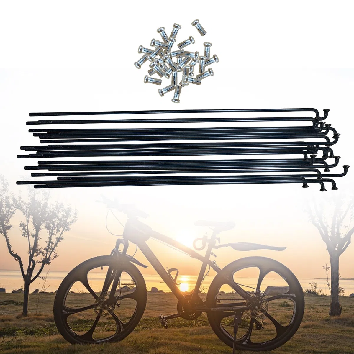 ACESOME Lot de 10/36 rayons de vélo avec mamelon, 71-253 mm, diamètre 2,5 mm, rayons en acier/acier inoxydable 12 G, pour rayons de roue de VTT, descente, trekking, plus et vélos de ville