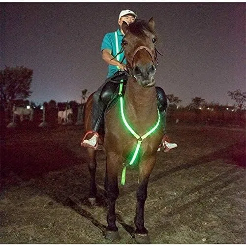 Collier LED pour cheval - Collier réglable - Harnais pour chevaux - Équipement de sécurité équestre robuste et confortable - Vert