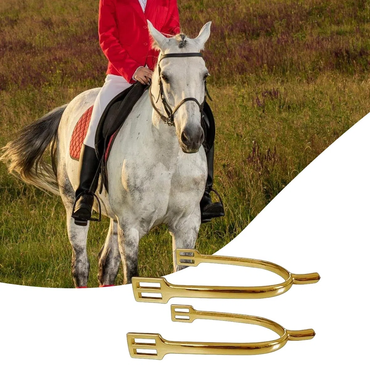 perfk Lot de 2 éperons pour Cheval, Accessoires d'équitation, équipement Professionnel en Alliage de Zinc, éperons décoratifs pour Bottes de Cowboy, Or