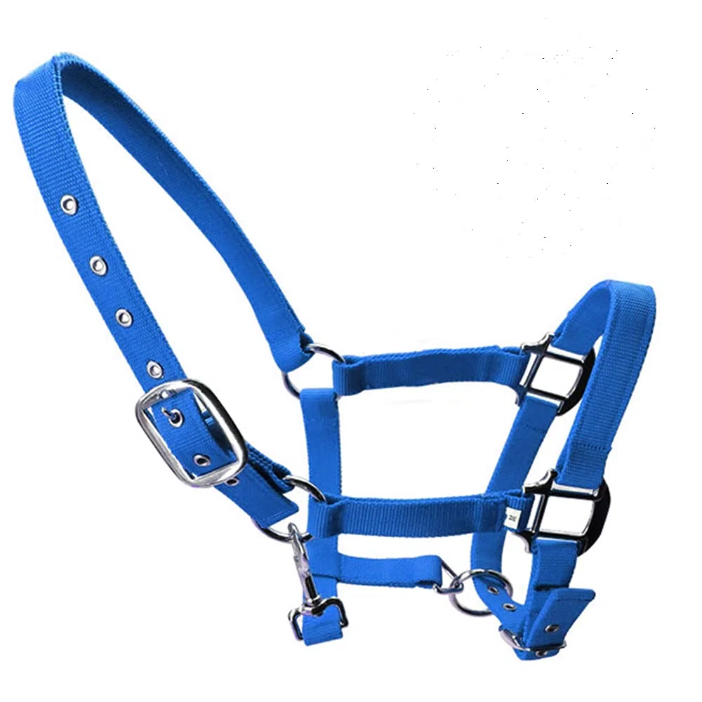 tooloflife Licol rembourré en nylon avec impression de cheval réglable bleu-moyen pour poulain, poney, âne