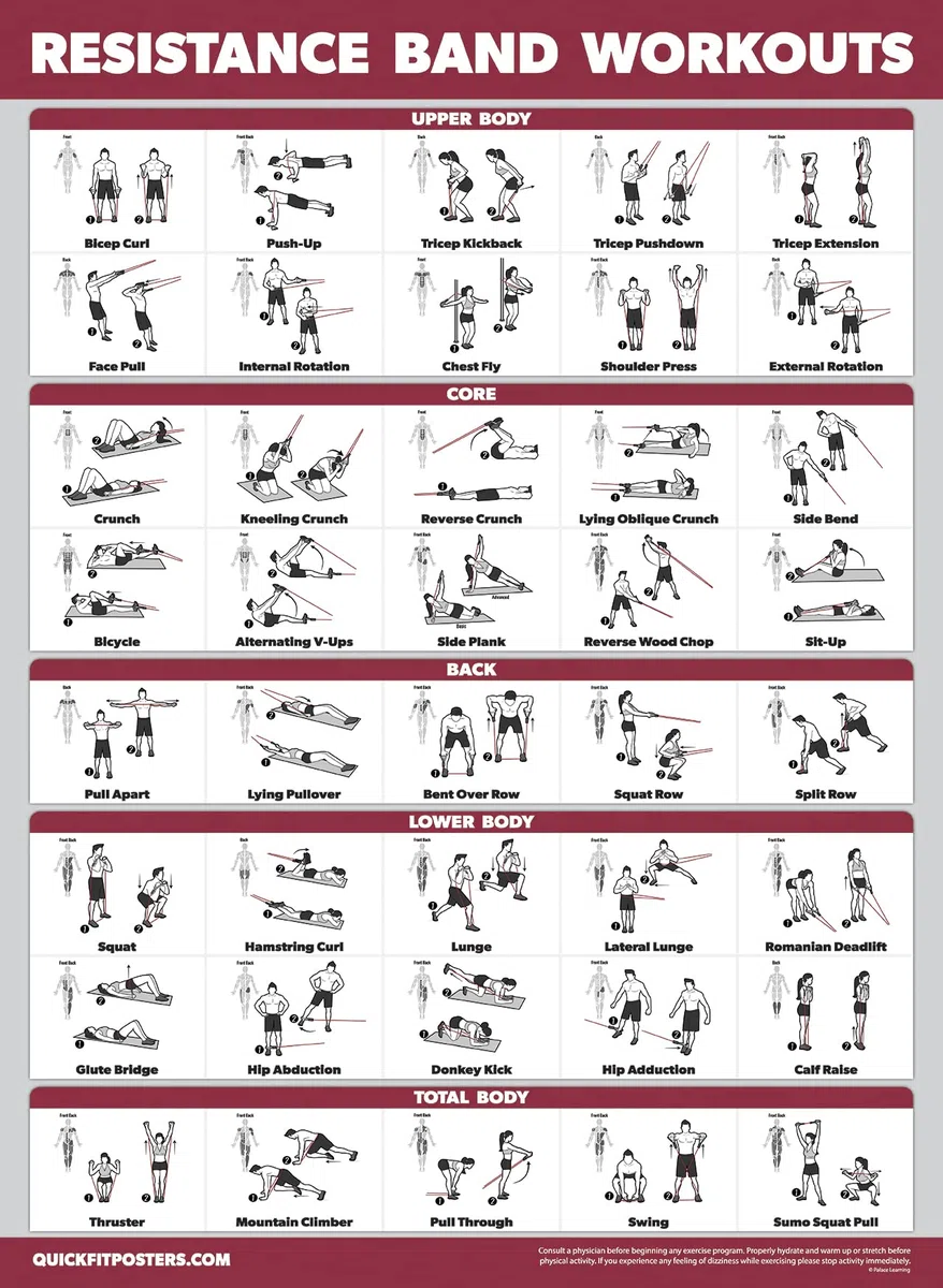 Palace Learning Lot de 4 tableaux d'entraînement avec haltères + exercices d'étirement + bandes de résistance (45,7 x 61 cm, laminé)