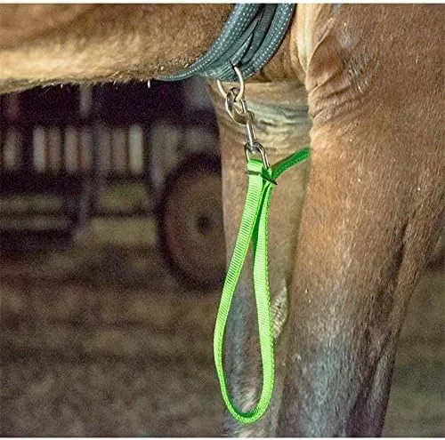 Collier LED pour cheval - Collier réglable - Harnais pour chevaux - Équipement de sécurité équestre robuste et confortable - Vert