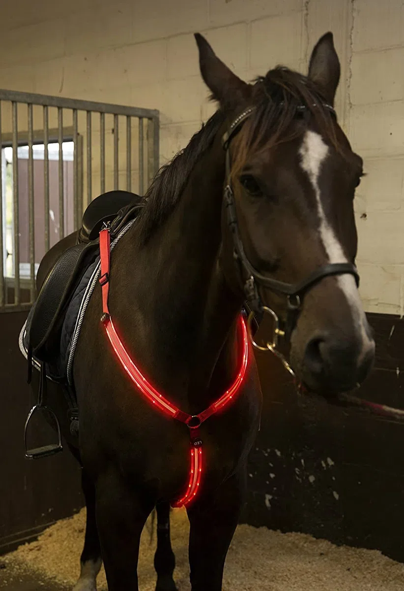 Collier de cuirasse de Cheval à LED, Haute visibilité pour l'équitation, équipement de sécurité réglable pour l'équitation de Nuit (Rouge)