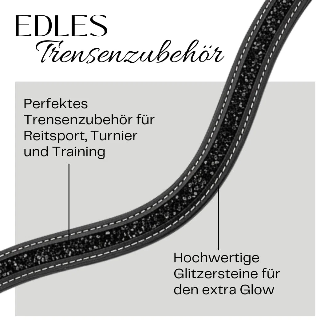Pferdelinis Bandeau incurvé avec cristaux étincelants aspect argent – assure une apparence élégante et glamour pendant l'entraînement et le tournoi (noir et noir, poney)