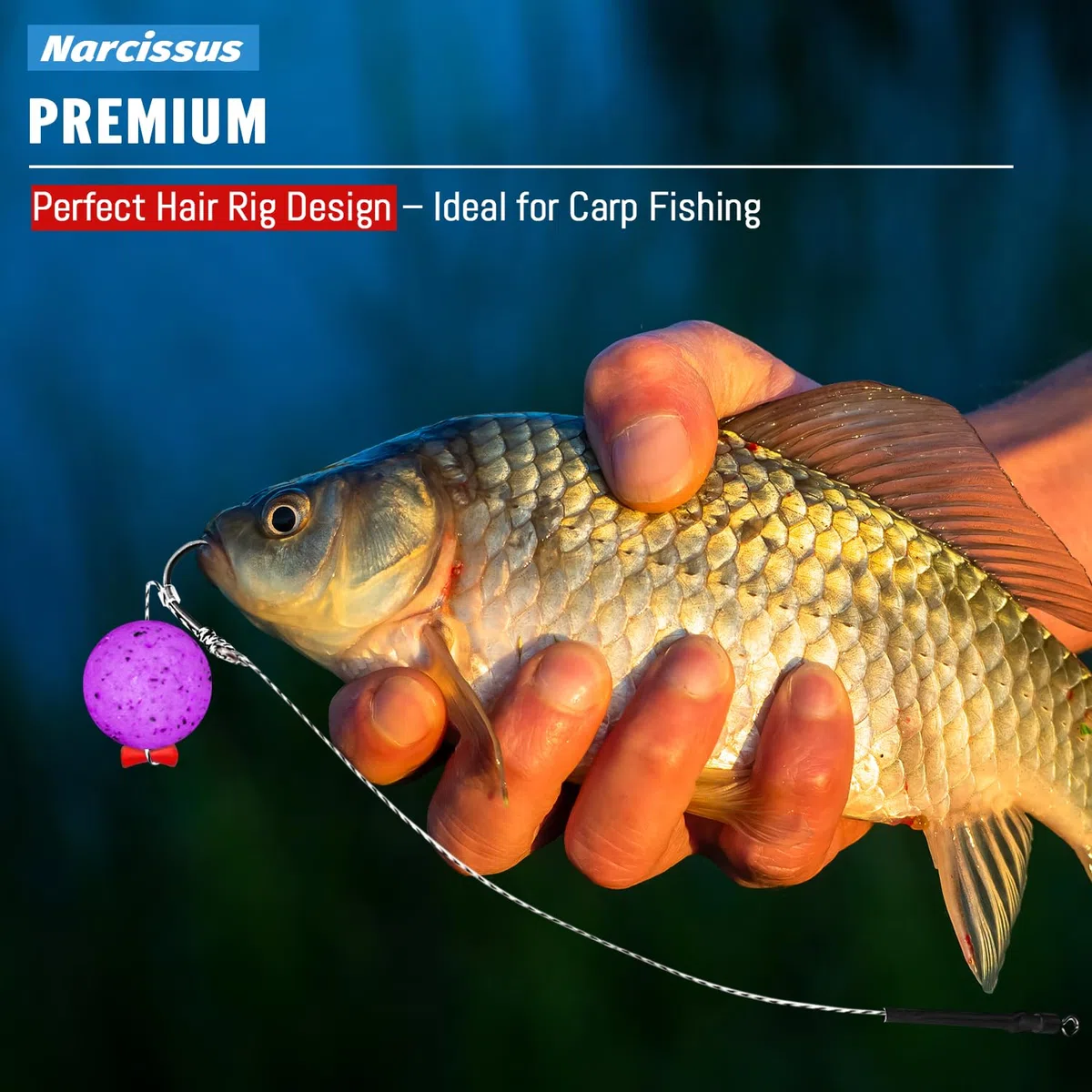 Narcissus Carp Fishing Hair Rigs – 24Pcs Carp Fishing Equipment, 24cm Braided Line Bait Rigs with Hooks and Boilie Stops