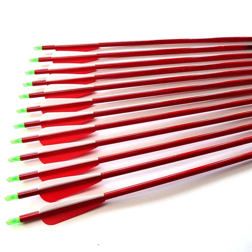 Spine 700 Flèche 29 Pouces Flèche Flèches Carbone Flèche Cible Flèche de Chasse Arc à Poulies Arc Classique Adulte Jeunesse Tir à l’Arc Entraînement 12pcs