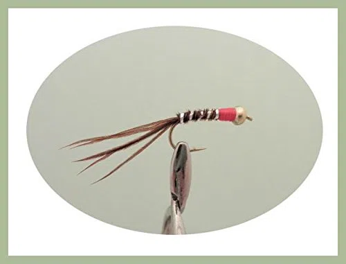Lot de 40 mouches nymphes à la truite, 8 variantes, tailles mixtes pour pêche à la mouche NBX30