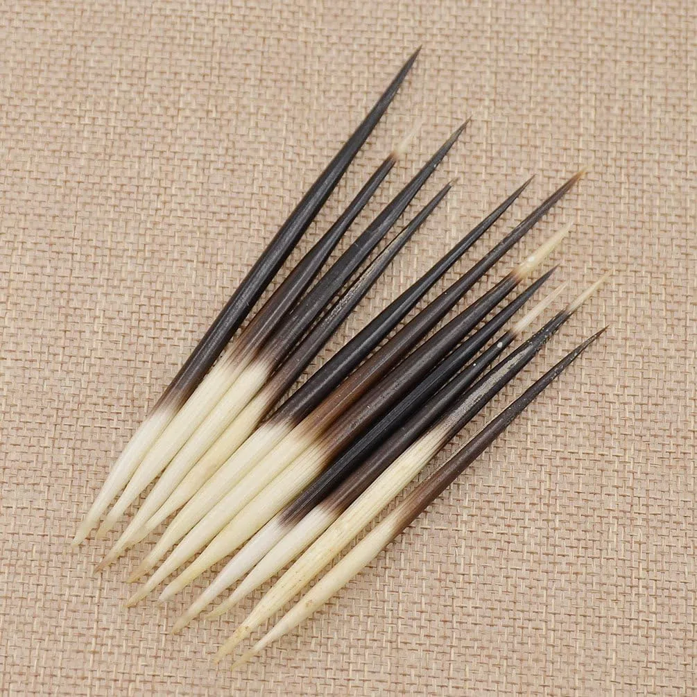 Fansoftiks Lot de 10 bâtons à cheveux en forme de porc-épic - Accessoires indiens - Bouée de pêche - Kits de couture
