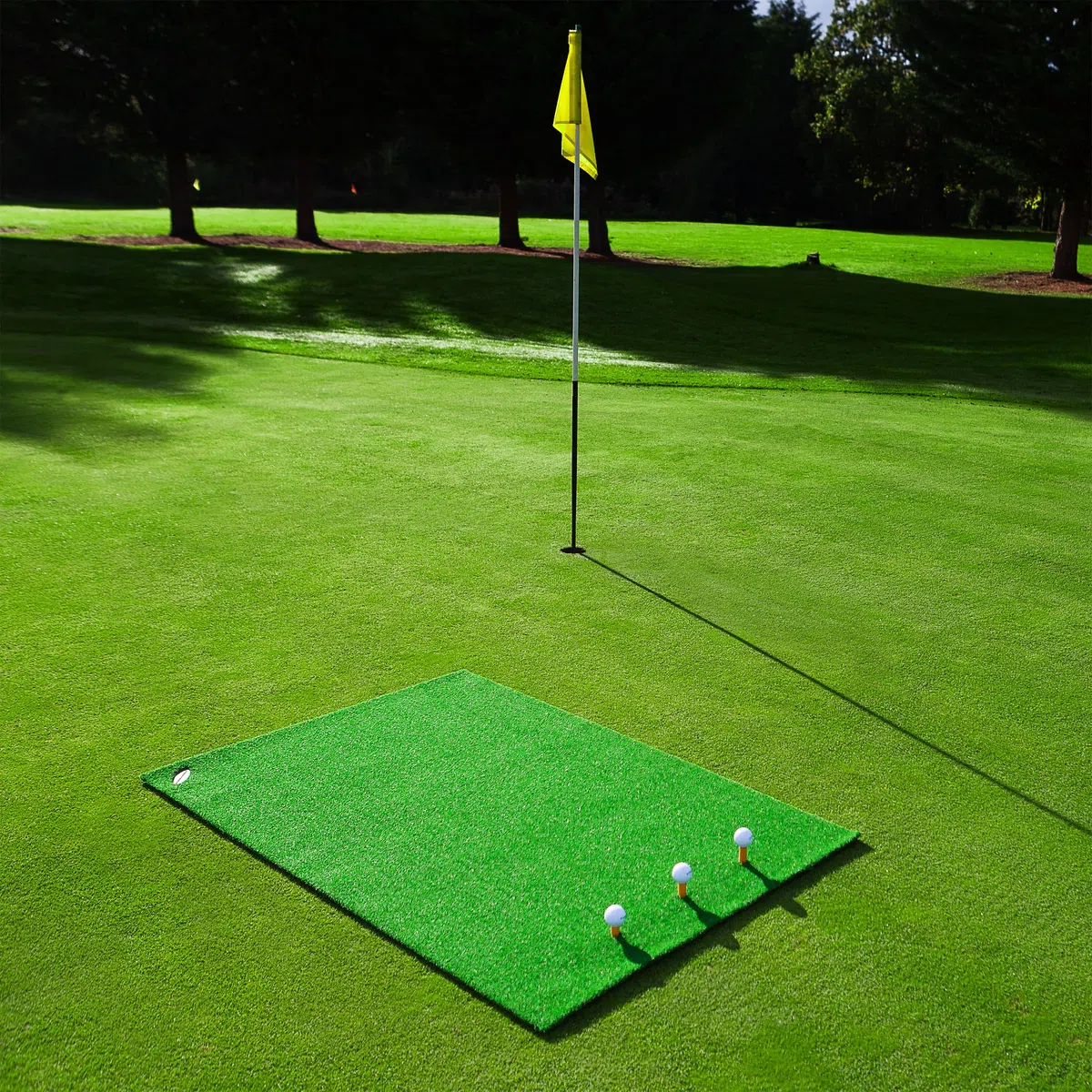 FORB Academy Tapis de Golf Portable pour l’Entraînement (1,5m x 1m) | Gazon Artificiel Authentique | Tees de Golf Inclus | Design Innovateur | Parfait pour Tous Les Golfeurs