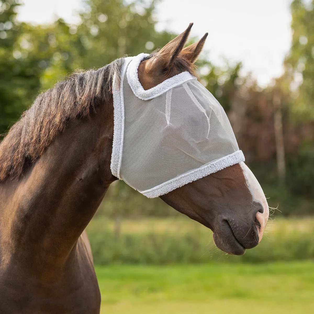 QHP Without Ear Protection Fly Mask Extra Full Size Grey