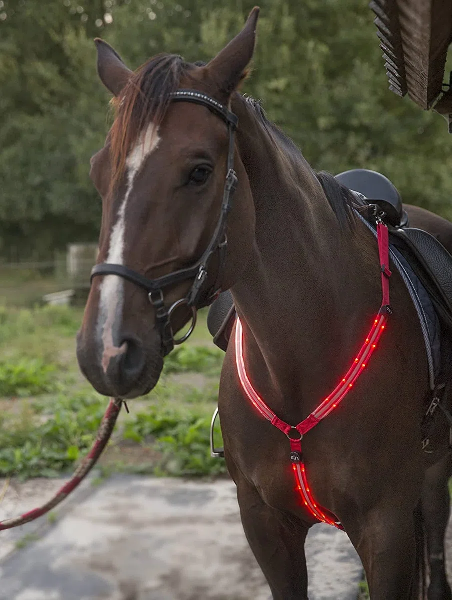 Collier de cuirasse de Cheval à LED, Haute visibilité pour l'équitation, équipement de sécurité réglable pour l'équitation de Nuit (Rouge)