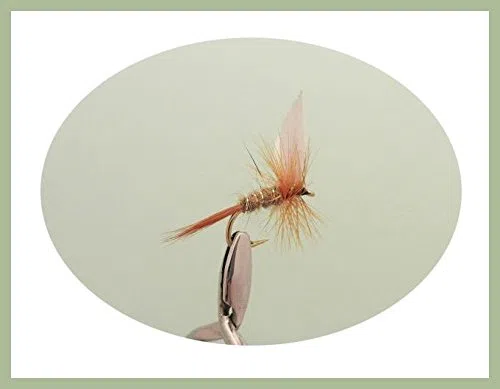Lot de 50 mouches pour pêche à la truite, mouches sèches, buzzers, nymphes, émergers, etc