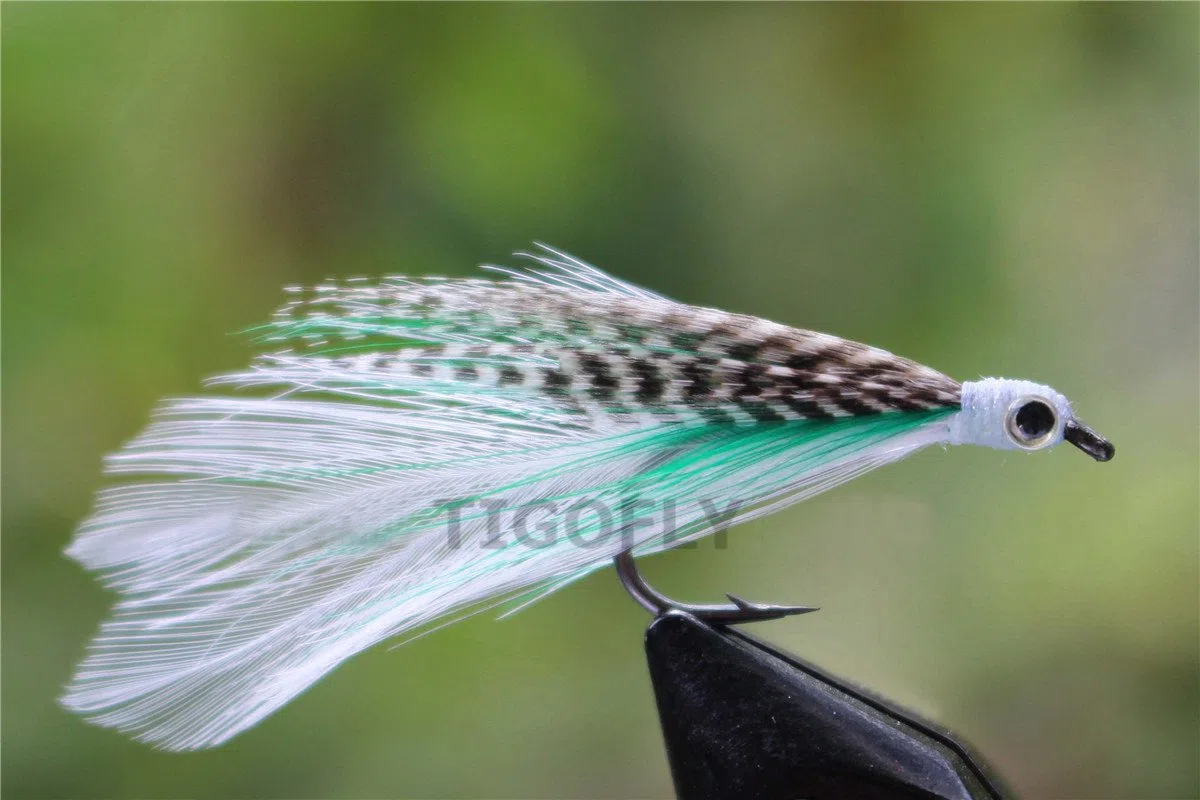 Tigofly Lot de 24 leurres de pêche à la mouche en forme d'aile pour saumon, truite, pêche à la mouche en eau salée