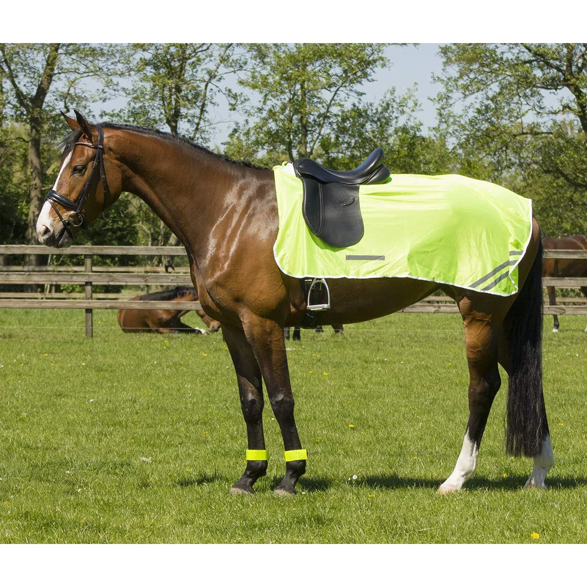 QHP Couvre-Reins pour Cheval refléchissante
