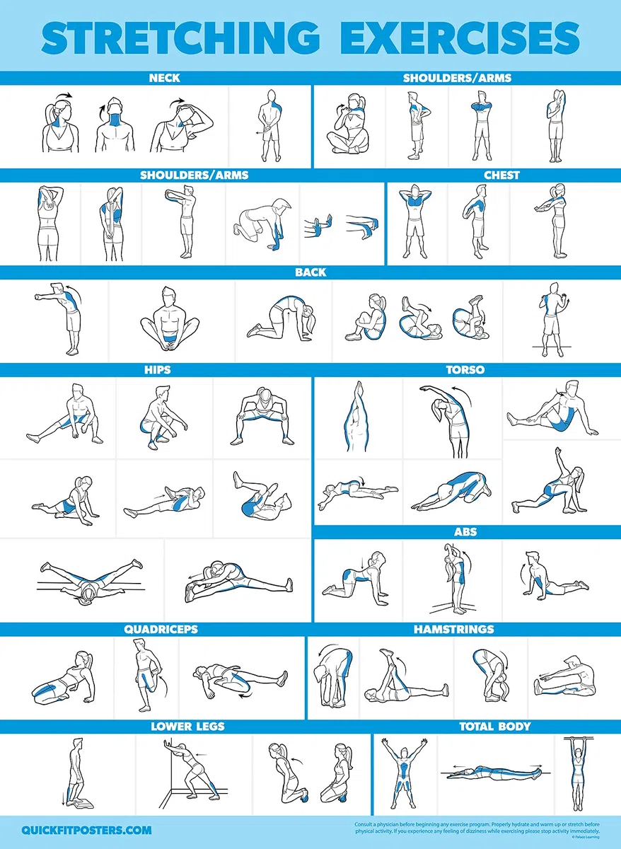 Palace Learning Lot de 2 affiches de yoga et d'exercices d'étirement - Ensemble de 2 tableaux laminés - Positions de yoga et étirements [léger] (laminé, 45,7 x 61 cm)