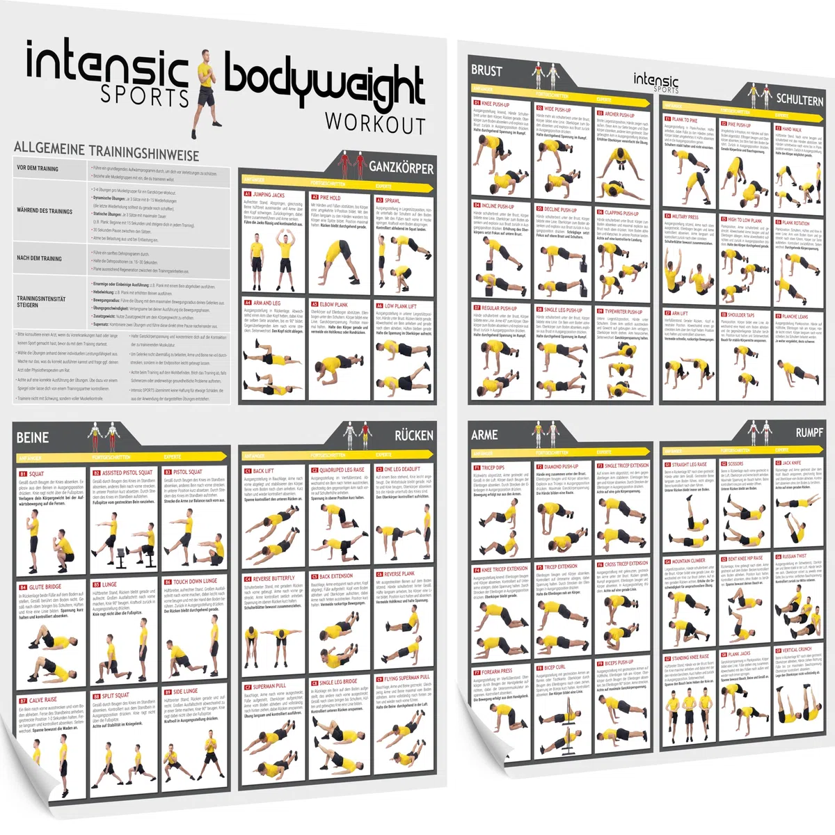 Poster d'entraînement bodyweight, 60 exercices de fitness pour la force à la maison, le développement musculaire, poster de motivation fonctionnel