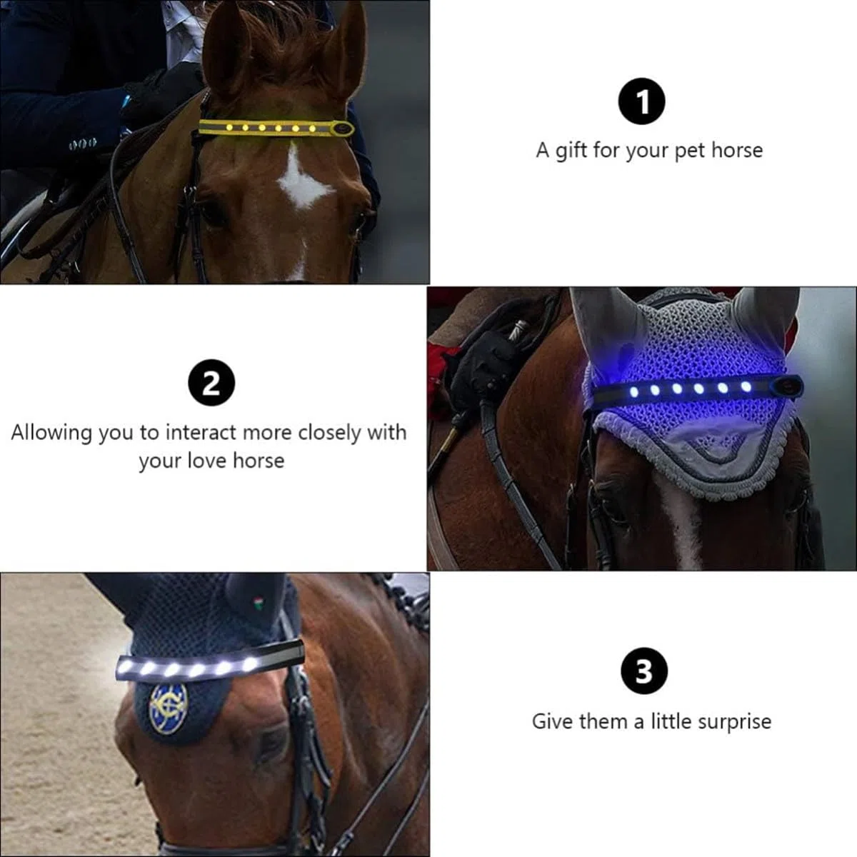 Cerceaux de tête de Cheval Collier de cuirasse de Cheval LED Bande de positionnement visuel Harnais de tête de Cheval pour l'équitation Nocturne Projet de compétition équestre