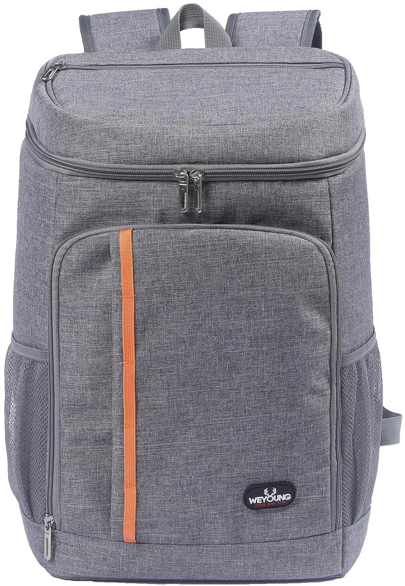 28L Sac à Dos Isotherme à Glacière, Sac Isotherme Portable Cooler Backpack Bag, pour Hommes Femmes pour Déjeuner Plage Camping BBQ Travail Ecole Pique-Nique, Gris