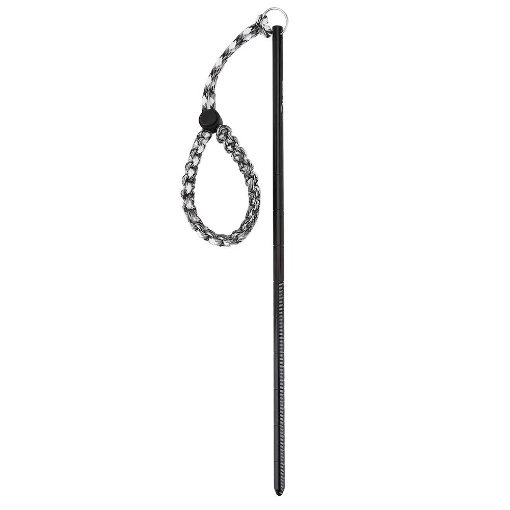 Alomejor Pointeur de plongée Bâton en Alliage d'aluminium Plongée sous-Marine Noise Maker Stick Rod Pointer avec lanière Poignet réglable Accessoires