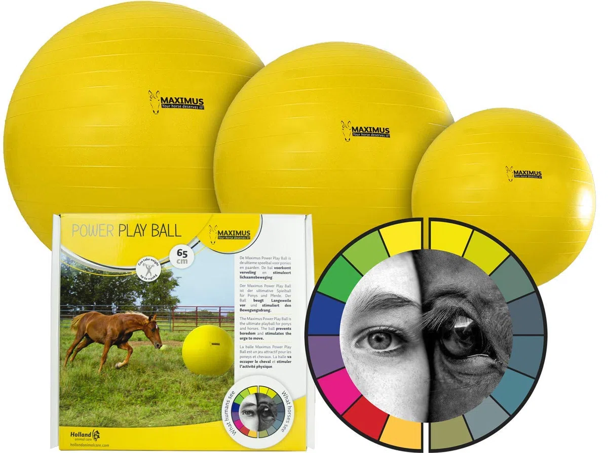 Hofman Maximus Power Play Ball Jouet pour cheval Jaune 75 cm