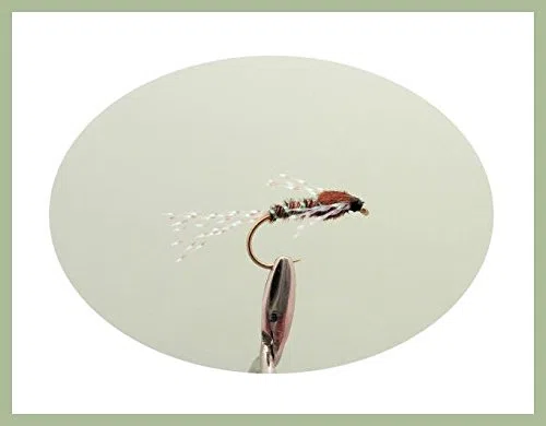 Lot de 40 mouches nymphes à la truite, 8 variantes, tailles mixtes pour pêche à la mouche NBX30